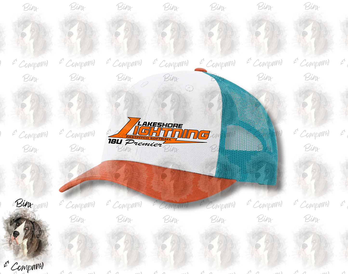 Snapback Hat • Design 2