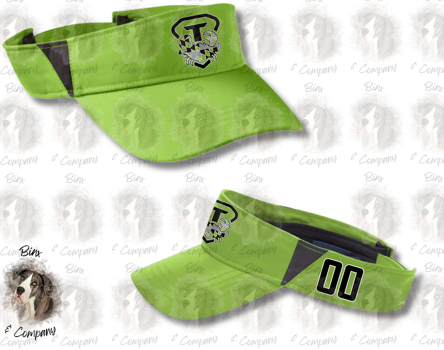 Visor Design 1