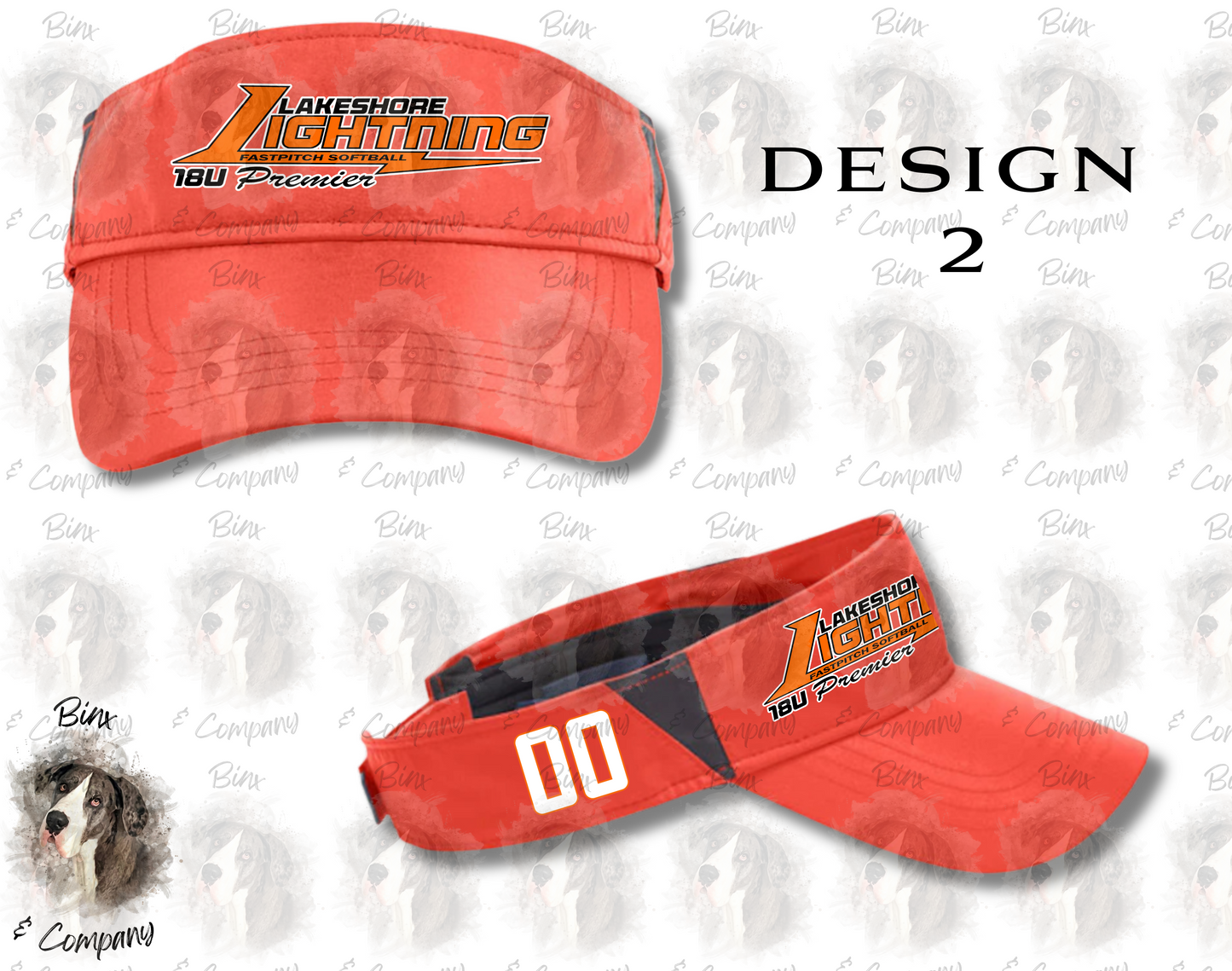 Visor Design 2