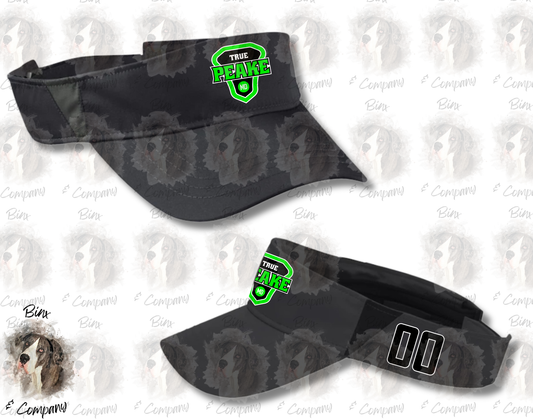 Visor Design 2