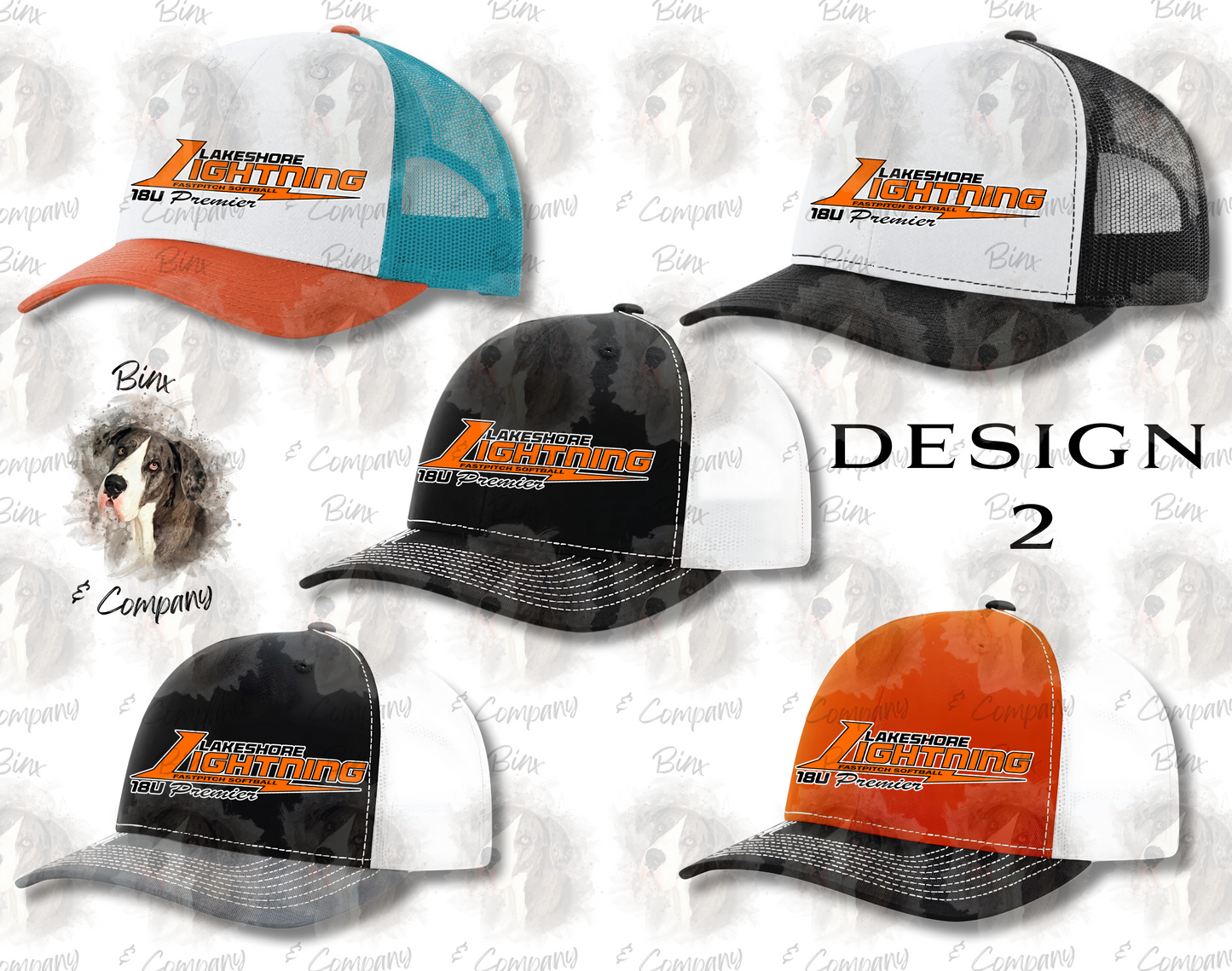 Snapback Hat • Design 2