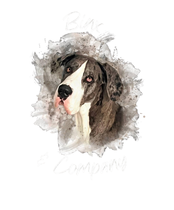 Binx & Company