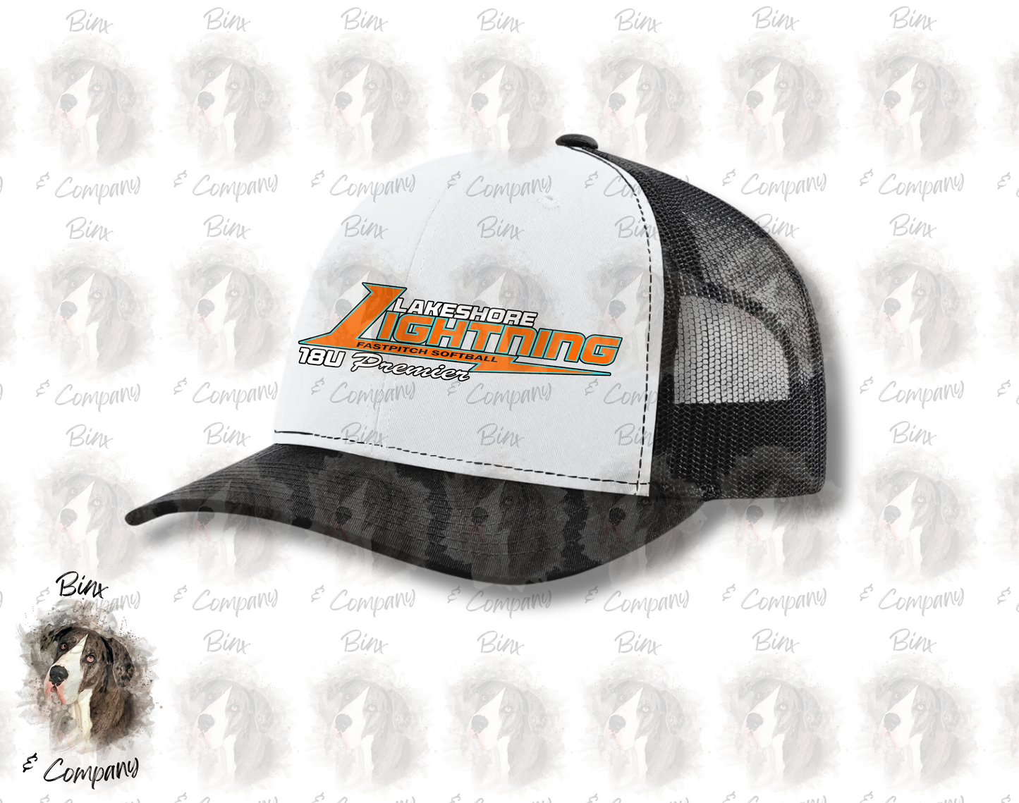 Snapback Hat • Design 1