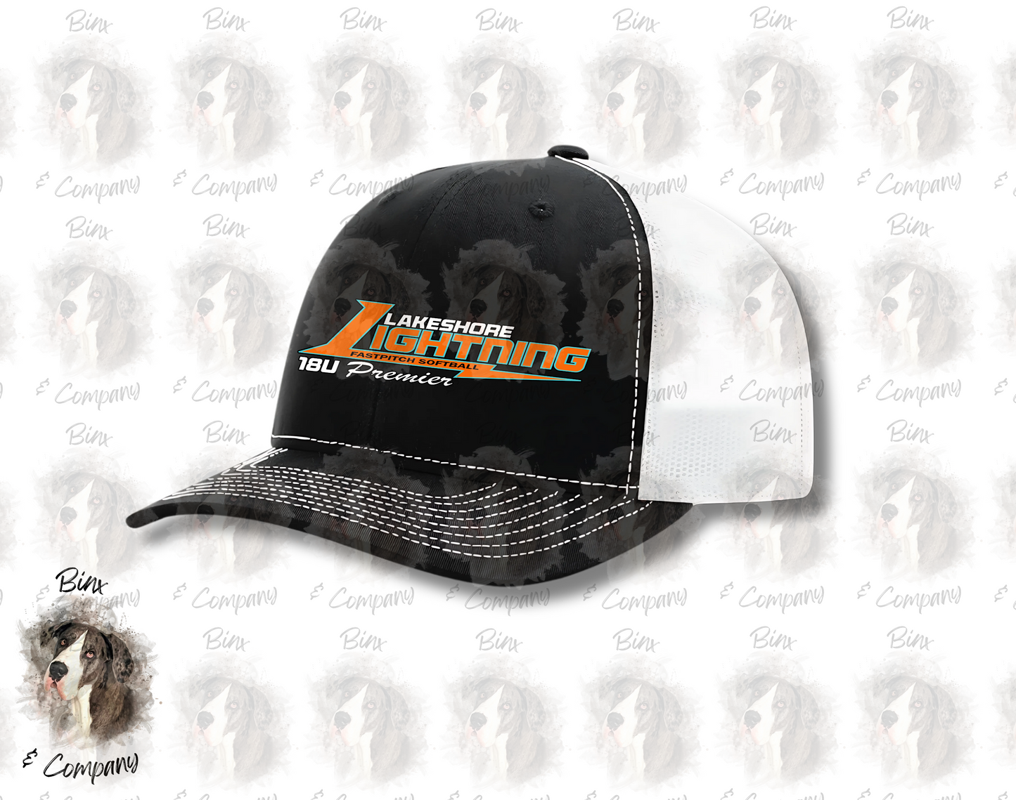 Snapback Hat • Design 1