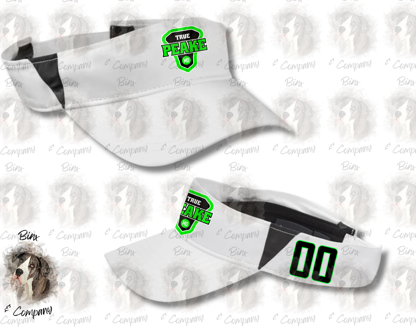 Visor Design 2