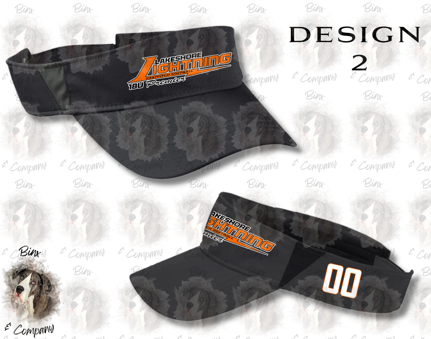 Visor Design 2